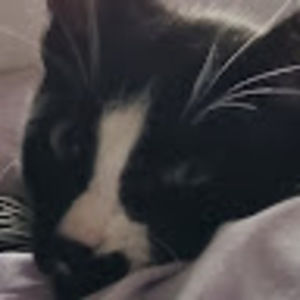 Meet your Posher, Nevaeh